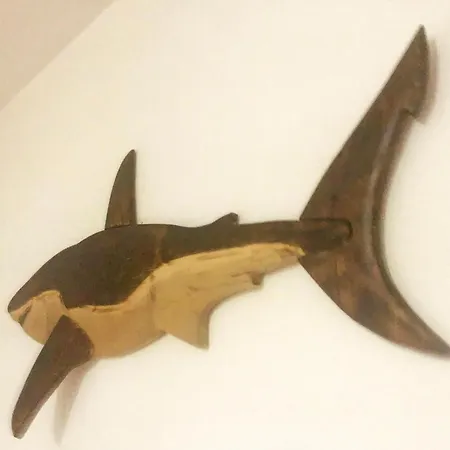 Apartamento The Shark's House