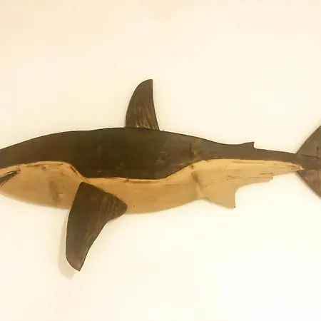 Apartment The Shark's House Olbia
