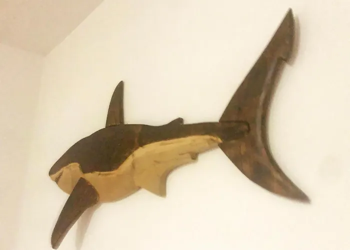 Appartamento The Shark's House